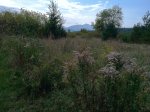IMG_0152.JPG