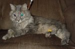 DSC08385.JPG