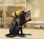 cat-halloween-costume.jpg
