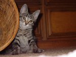DSC02196.JPG