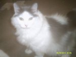DSCF0013.JPG
