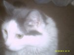 DSCF0014.JPG