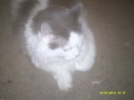 DSCF0029.JPG