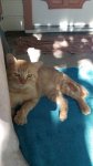 Little Dude 2016-08-31 with Dad b.jpg