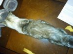 IMG_20160912_172141.jpg