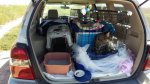 Leo - Day 2 travel to Ft Collins Sept 2016 compressed.jpg