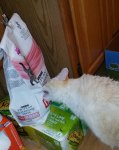 20160924_080543.jpg