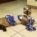 cheerleader 3.jpeg