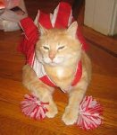 cheerleader 5.jpeg