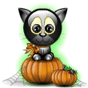 shalloween_cat_pumpkin_100-100.gif