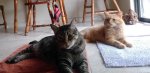 Leo and LD - Nov 18 2016.jpg