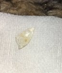 IMG_1056.JPG