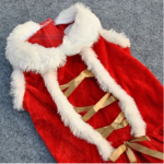 christmas for china.PNG