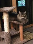 New perch 2.jpg