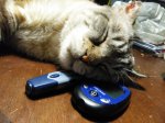 IMG_20170212_083241.jpg