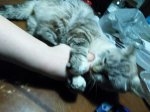 IMG_20170212_083439.jpg