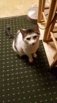 20170211_081153.jpg