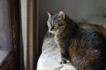 DSC_4299.JPG DSC_4299.JPG