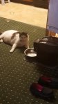 20160918_120404.jpg
