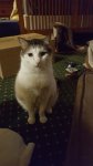 20170212_195657.jpg