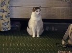 20160612_095314.jpg