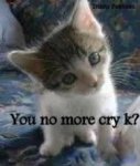 no more cry.jpe