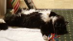 20170218_133056.jpg