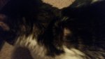 20170222_125539.jpg