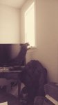IMG_20170302_122939.jpg