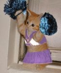 cheerleader kitty.jpg cheerleader kitty.jpg