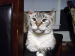 IMG_20170303_215550.jpg
