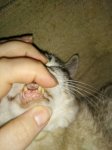 IMG_20170309_182211.jpg