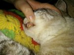 IMG_20170309_182141.jpg