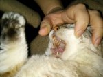 IMG_20170309_182106.jpg