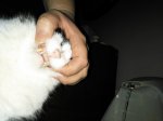 IMG_20170309_182356.jpg