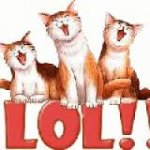 lolcats.jpeg
