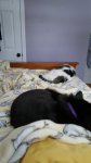 20170314_095828.jpg