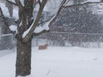 IMG_20170314_150805.jpg