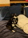 IMG_20170315_213123.jpg