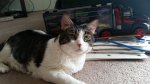20170314_124540.jpg