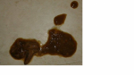vomito markies marron.png