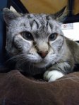 IMG_20170321_150736.jpg