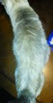 IMG_20170322_030728.jpg