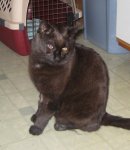 Just home from dental - cropped (348x400).jpg