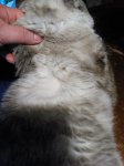 IMG_20170401_144533.jpg