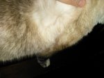 IMG_20170401_144439.jpg