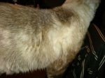 IMG_20170401_144359.jpg