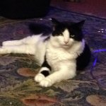 IMG_1057.JPG IMG_1057.JPG