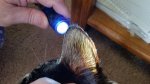 20170412_075608.jpg