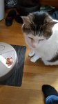20170415_121531.jpg